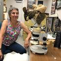 Lynn Kimsey, director of the Bohart Museum of Entomology, sits next to her well-used microscope. Its cover is a pack rat, a stuffed toy animal. (Photo by Kathy Keatley Garvey)