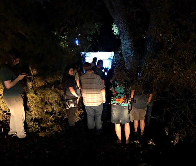 Visitors gather at the blacklighting display just outside the Bohart Museum of Entomology. (Photo by Kathy Keatley Garvey)
