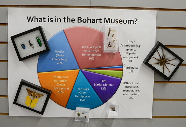What's in the Bohart Museum of Entomology? A sign tells all. (Photo by Kathy Keatley Garvey)