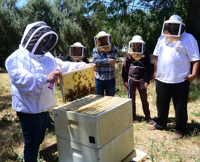 Extension apiculturist Elina Lastro Niño opens a hive as the students gather around. (Photo by Kathy Katley Garvey)