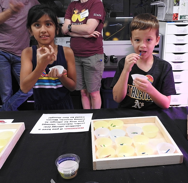 Cousins Aryanna Nicole Torres, 8, of Woodland and Aaden Matthew Brazelton, 8, of Vacaville, get ready to eat insects. Their grandmother, UC Davis employee Elvira Galvan Hack of Dixon, accompanied them to the museum. (Photo by Kathy Keatley Garvey)