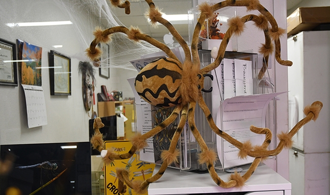 What's a Halloween party without a spider? (Photo by Kathy Keatley Garvey)