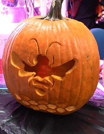An insect-themed pumpkin at the Bohart Museum of Entomology. (Photo by Kathy Keatley Garvey)