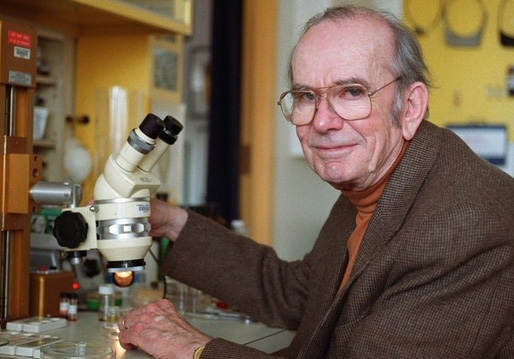 Thomas Eisner, father of chemical  ecology, at his microscope at Cornell University. (Courtesy Photo)
