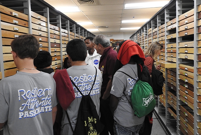 Bohart associate Greg Kareofelas explains the moth and butterfly collection to a group of Elk Grove middle students. (Photo by Kathy Keatley Garvey)