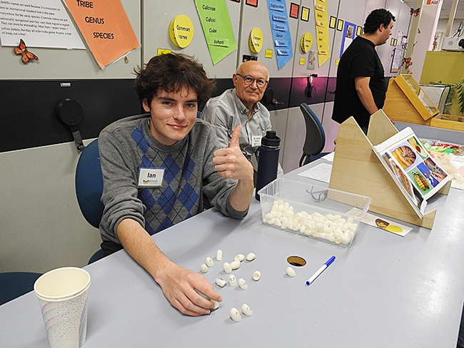 Entomology student Ian Clark staffs the family crafts activity, which involved decorating silkworm cocoons for finger puppets. In back are silkworm moth expert İsmail Şeker and UC Davis entomology student Andrew Goffinet. (Photo by Kathy Keatley Garvey)