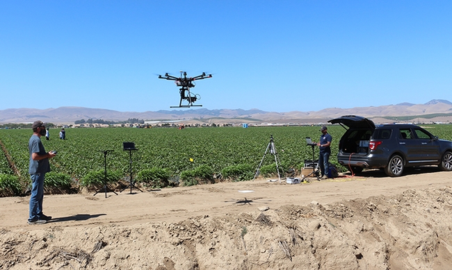 A drone over a Santa Monica strawberry field. Drones can target pest outbreaks or hot spots in field crops and orchards, the scientists pointed out. (Photo by Elvira de Lange)