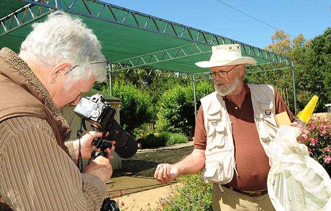 Allan Jones (left) photographs Robbin Thorp on May 22, 2012 in the Häagen-Dazs Honey Bee Haven, a half-acre bee garden on Bee Biology Road operated by the UC Davis Department of Entomology and Nematology. (Photo by Kathy Keatley Garvey)