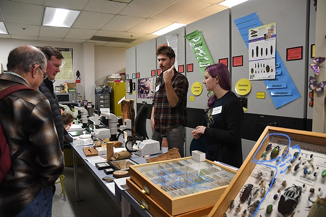 Forest entomologists and doctoral students Gabe Foote (left) and Crystal Homicz (right) talk about their research. (Photo by Kathy Keatley Garvey)