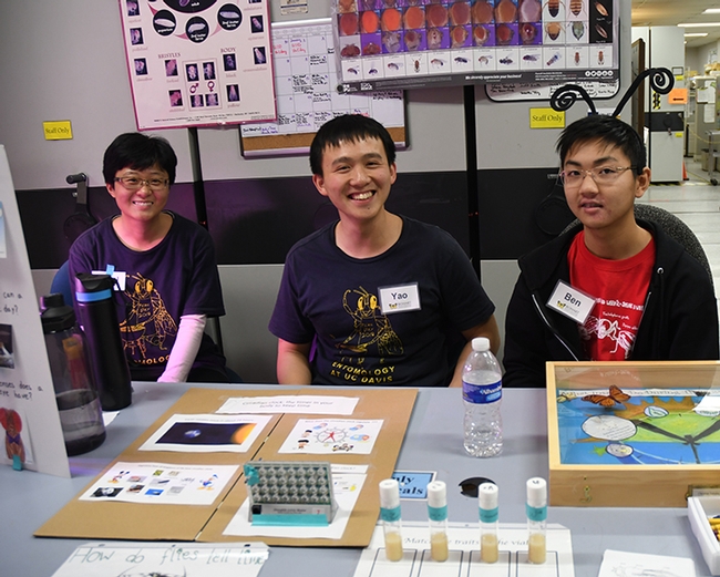 Doctoral student Yao Cai (center) led the discussion on circadian clocks and insects. With him are Nitrol Liu (left), also a graduate student in the Chiu lab, and Ben Kunimoto, a Davis Senior High School student. (Photo by Kathy Keatley Garvey)