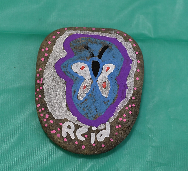 This creative rock shows a butterfly framed in purple and white. (Photo by Kathy Keatley Garvey)