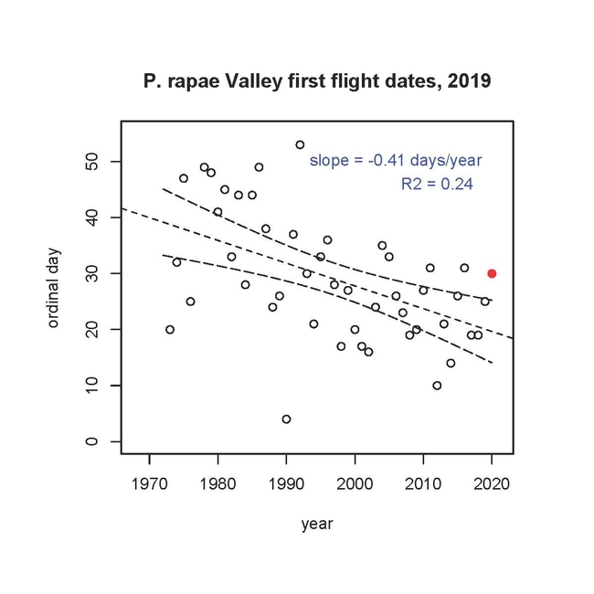 This graph by  Matthew Forister, McMinn Professor of Biology, University of Nevada, Reno, shows the first flights of the cabbage white butterfly, Pieris rapae.  Forister received his doctorate from UC Davis, studying with major professor Art Shapiro.