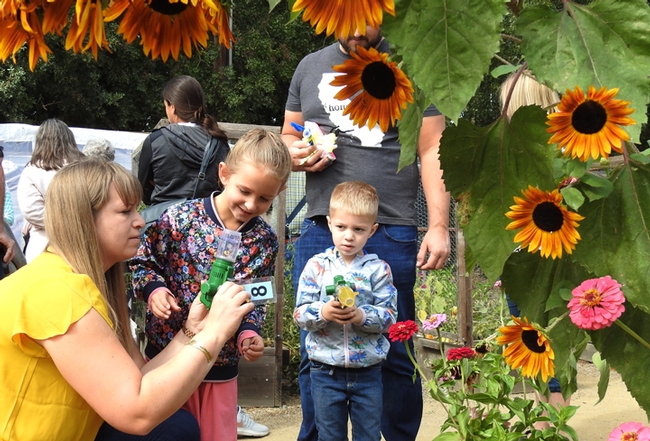 Missy Gable, director of the UC Master Gardener Program, shows her children Emma and Bran how to use a bee vacuum device at the Häagen-Dazs Honey Bee Haven. Missy, then Missy Borel, served as the founding manager of the haven. (Photo by Kathy Keatley Garvey)