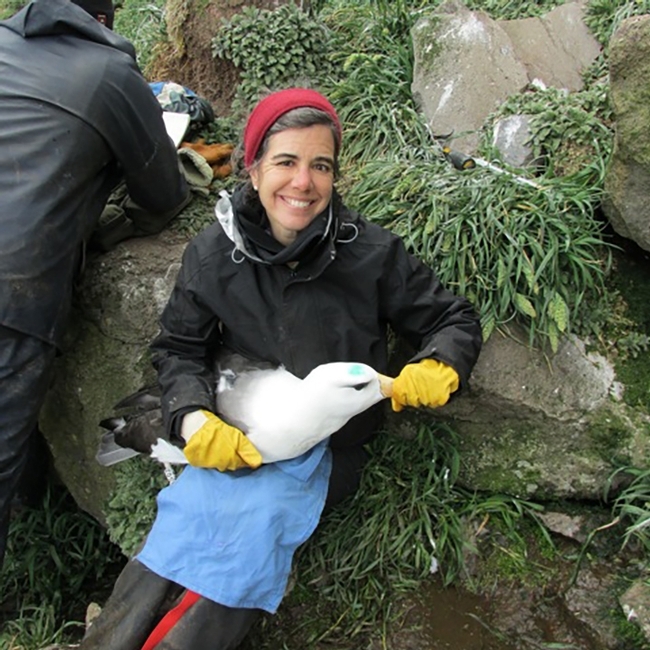 Professor Gabrielle Nevitt with a blackbrowed albatross.