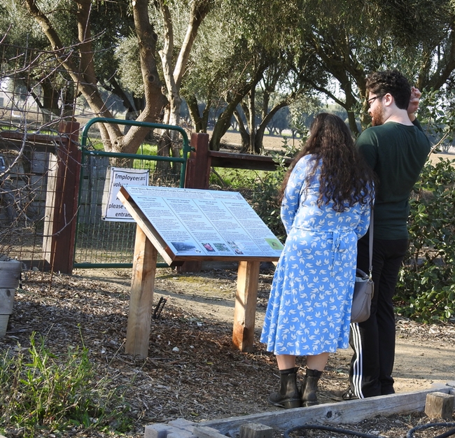 A couple reads the information on a sign displayed in the haven.  (Photo by Kathy Keatley Garvey)
