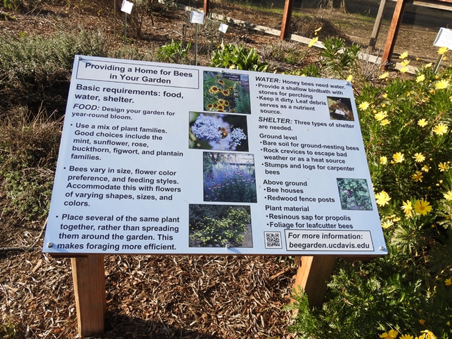 An informative sign in the bee garden. (Photo by Kathy Keatley Garvey)