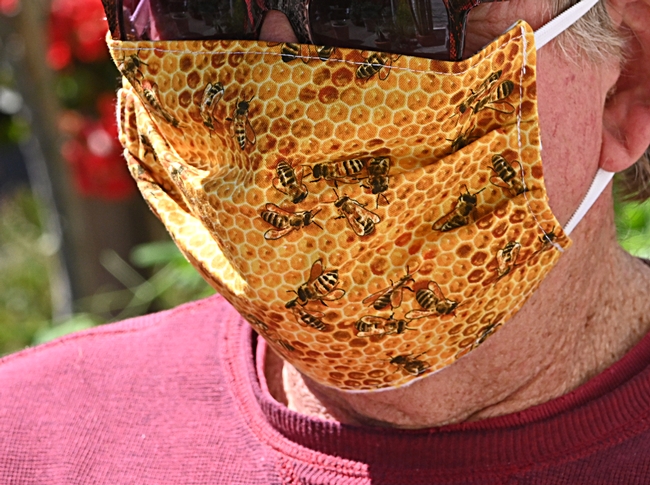 Honey bees cluster on a mask, the work of Teresa Hickman. (Photo by Kathy Keatley Garvey)