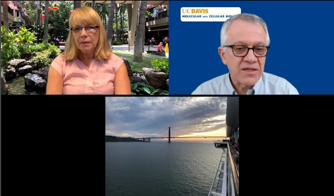 Retired UC Davis Medical Center nurse Carolyn Wyler, a passenger on the Grand Princess cruise ship, answers a question from COVID-19 Symposium organizer and moderator Walter Leal. (Screen shot)
