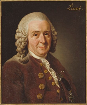 Carl Linnaeus, father of taxonomy
