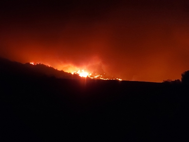 A wall of fire races toward Quail Canyon Road, home of Caroline Yelle's business, Pope Canyon Queens.