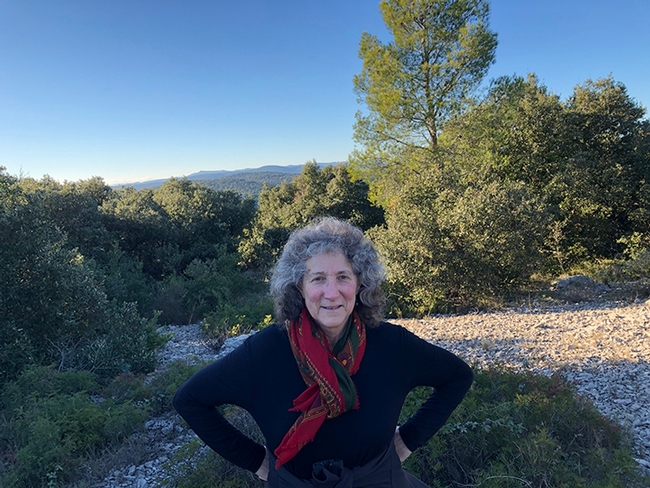 Professor Diane Ullman of the UC Davis Department of Entomology and Nematology is a co-author of the publication on the Western flower thrips. This image was taken when she was doing research in France.