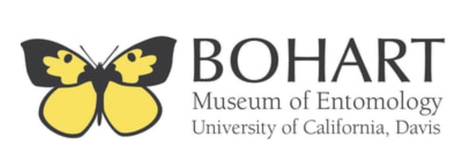 Bohart Museum logo shows the California state insect, the dogface butterfly.