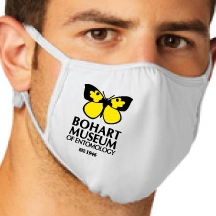 This Bohart Museum face mask will be available soon in the online gift shop.