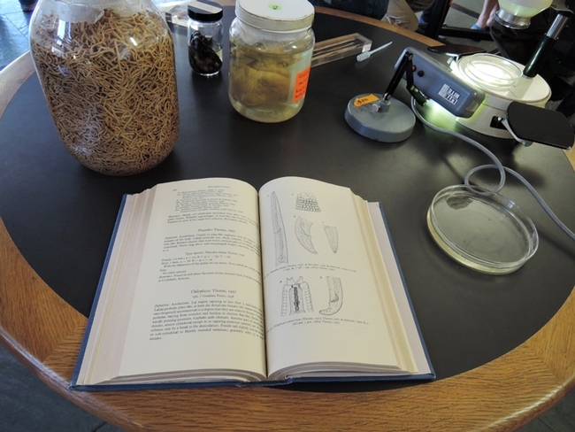 A reference book on nematodes. (Photo by Kathy Keatley Garvey)