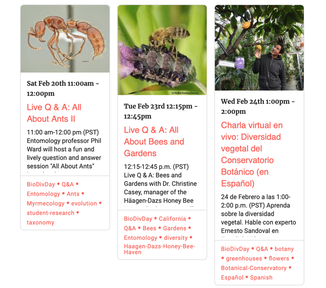 The line-up on Saturday, Feb. 20 for the UC Davis Biodiversity Museum Month live talks. (Screen shot)