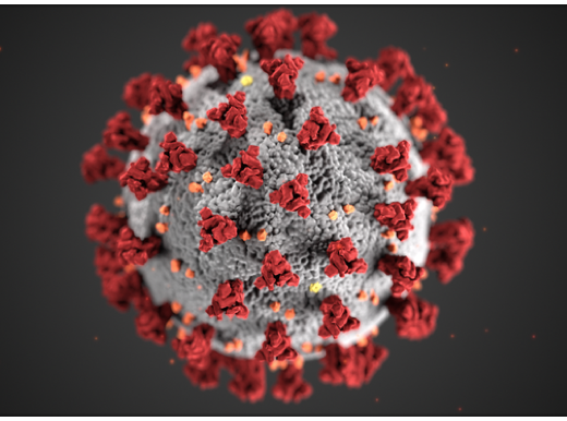 COVID-19 virus (CDC Image)