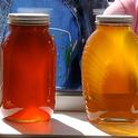 A row of honey jars. (Photo by Kathy Keatley Garvey)