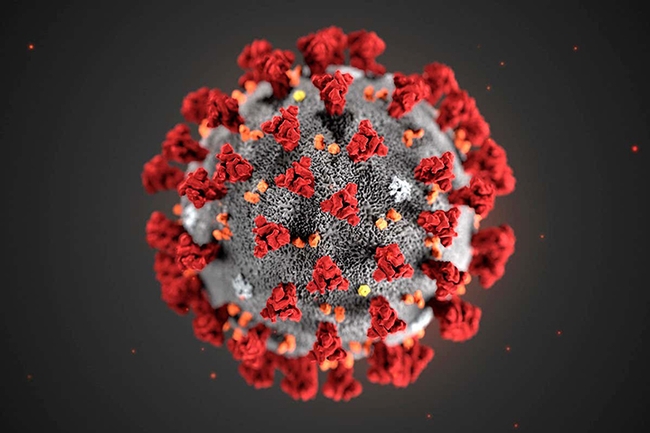 COVID-19 virus. (CDC Photo)