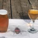 Participants in the California Master Beekeeper Program's online introduction to mead will learn about honey and mead. (Photo by Kathy Keatley Garvey)