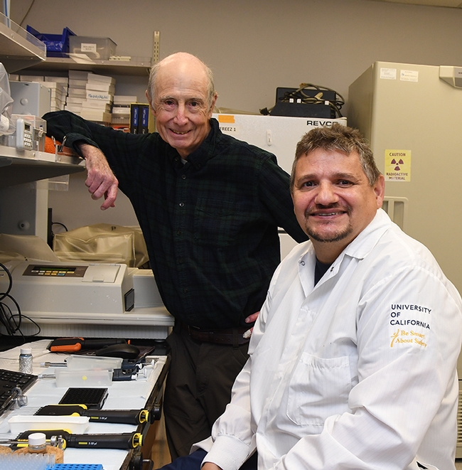 UC Davis distinguished professor Bruce Hammock (left( and researcher Christophe Morisseau of the Hammock lab. (Photo by Kathy Keatley Garvey)