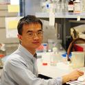 Hammock lab alumnus, Guodong Zhang, associate professor in the University of Massachusetts' Department of Food Science, is the recipient of the Foods 2021 Young Investigator Award. He is shown here in the Hammock lab. (Photo by Kathy Keatley Garvey)