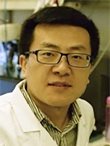 Lead author Jianjun Deng of Harvard Medical School