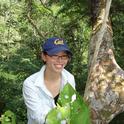 Jacklyn Wong in a canopy just outside of Iquitos, Peru. (Photo by Stephen Yanoviak)