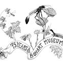 Art work by Christine Melvin, an associate at the Bohart Museum of Entomology. Can you identify the flora and fauna?