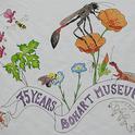 Christine Melvin's art work, transformed into a banner for the Bohart Museum of Entomology's 75th anniversary,  features a hover fly, sphecid wasp, snake fly, bumble bee, aphid, twisted wing parasite and a tardigrade (water bear).