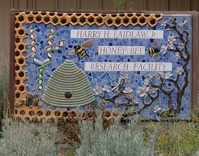 A sign in front of the Harry H. Laidlaw Jr. Honey Bee Research Facility at UC Davis includes a skep with a hole tunneling to a hive in the back. (Photo by Kathy Keatley Garvey)