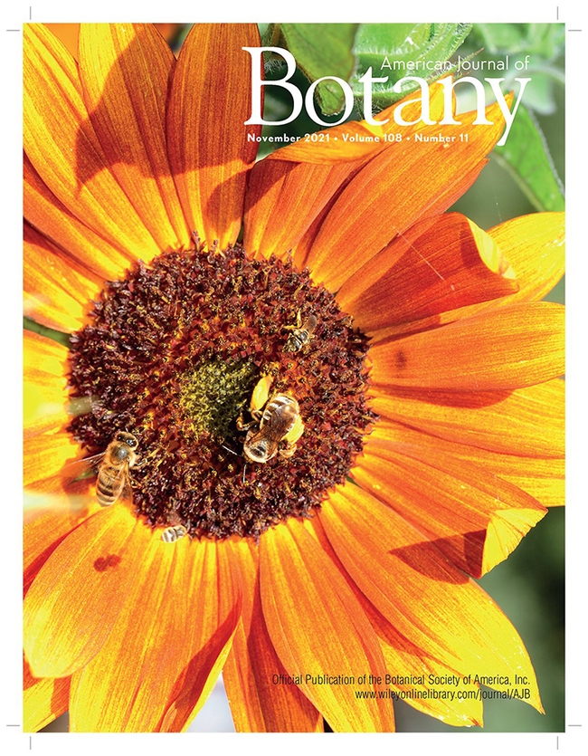 This is the cover of the American Journal of Botany, featuring several species of bees on a sunflower, Helianthus sp, (Cover photo by Kathy Keatley Garvey)