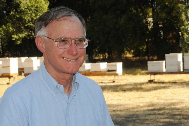 Eric Mussen by the apiary at the Harry H. Laidlaw Jr. Honey Bee Research Facility, UC Davis. (Photo by Kathy Keatley Garvey)