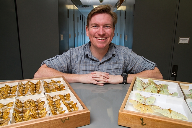 Ian Wright, a UC Davis alumnus and a research specialist at UC Riverside, is shown here with some of his winged specimens.