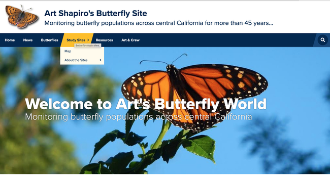 A screen shot of Art Shapiro's butterfly site at http://butterfly.ucdavis.edu/