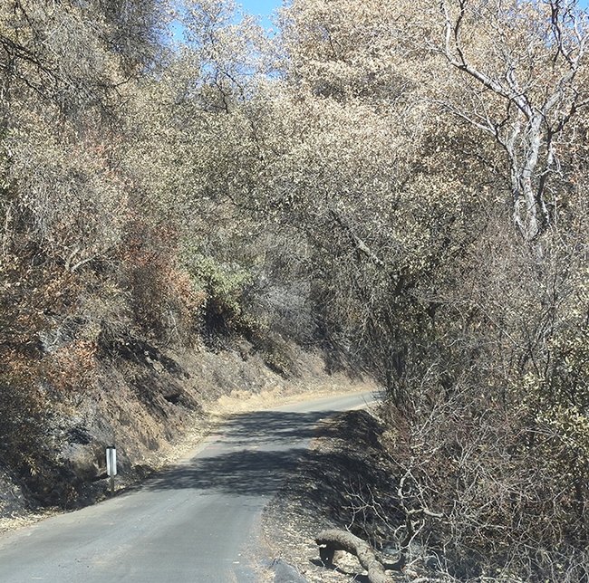 Gates Canyon Road is a paved county road, located just outside the city of Vacaville. (Photo by Kathy Keatley Garvey)
