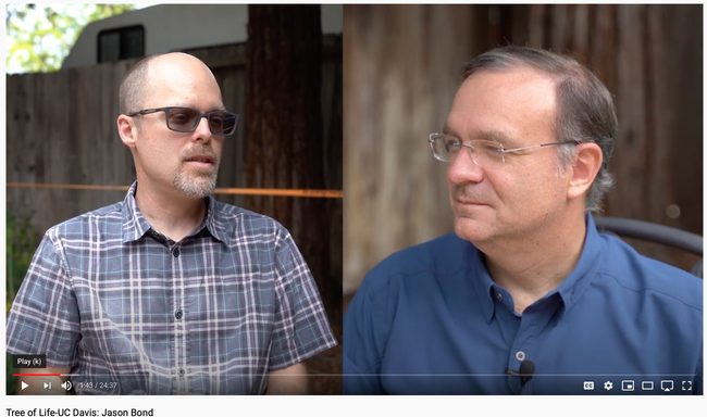 A screen shot of the Tree of Life-UC Davis YouTube program with host Joel Ledford (left) and Jason Bond, both UC Davis archnologists.