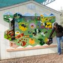 In 2011, then UC doctoral student Sarah Dalrymple (shown) coordinated the bee mural in the UC Davis Bee Haven. It mostly features native bees. (Photo by Kathy Keatley Garvey)
