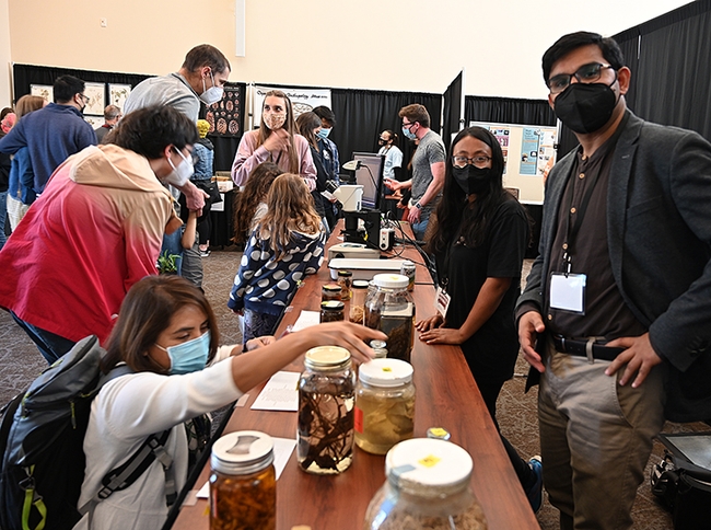 Three nematologists kept busy at their booth at the UC Davis Biodiversity Museum Day. In front is coordinator Shahid Siddique, assistant professor, and his doctoral students Pallavi Shakya (nearest him) and Alison Coomer. In the back (far right) is Rob Blundell, not part of the lab, but who assisted. (Photo by Kathy Keatley Garvey)