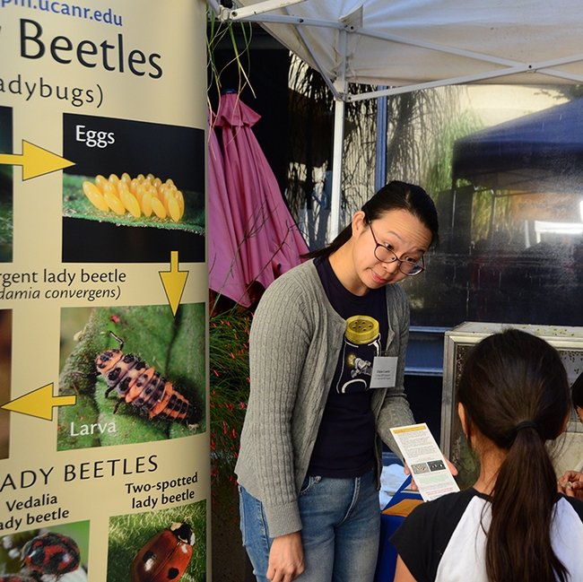 Elaine Lander, urban and community IPM educator with the UC Statewide Integrated Pest Management Program, talks to a youngster about lady beetles, aka ladybugs, at the 2019 UC Davis Picnic Day. (Photo by Kathy Keatley Garvey)