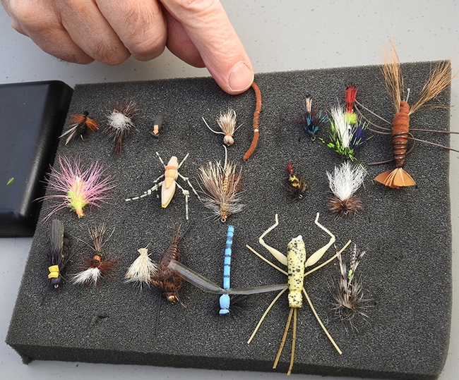 These are some of the flies crafted by the Fly Fishers of Davis and displayed at UC Davis Picnic Day on April 23. (Photo by Kathy Keatley Garvey)